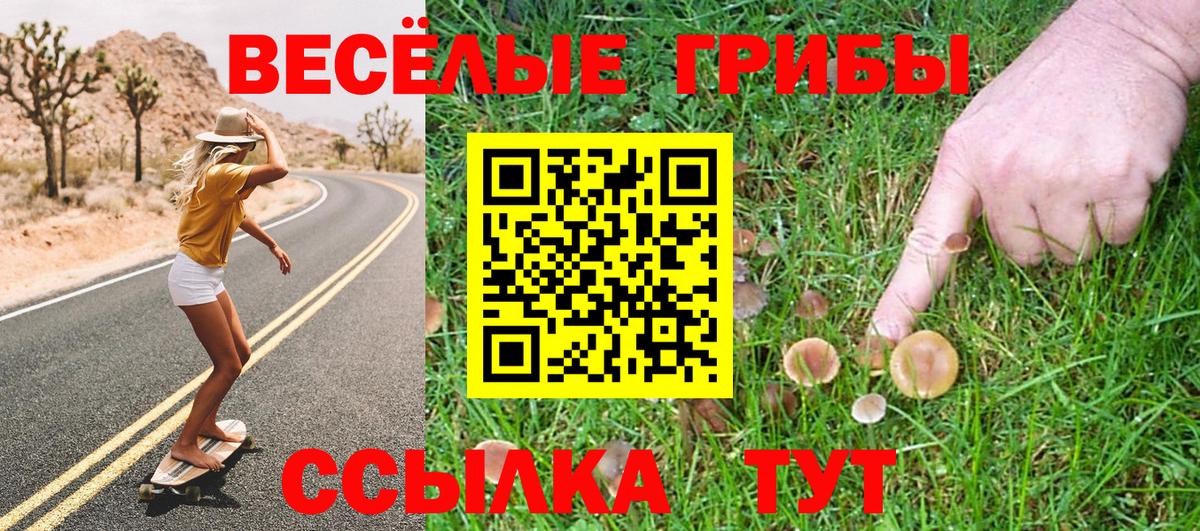 Галлюциногенные грибы ЛСД  Галлюциногенные грибы GOLDEN TEACHER  Вход с VPN  Ставрополь 